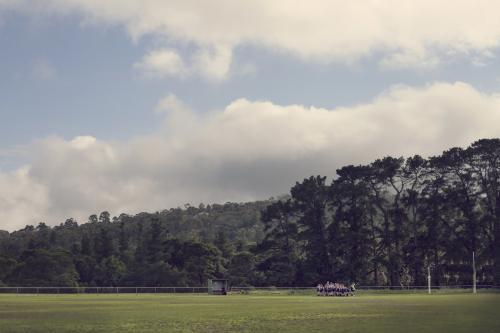 Team huddle on scenic football field - Australian Stock Image