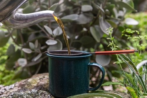 Teapot pouring tea into mug with filter - Australian Stock Image