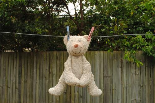 Teddy bear hanging on a washing line - Australian Stock Image