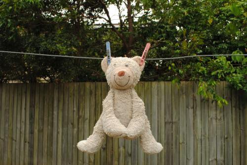 Teddy bear hanging on a washing line