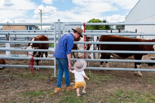 Teen and toddler walking around looking at cattle at agricultural show