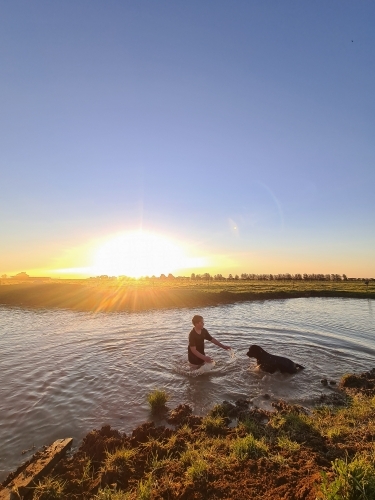 Teen boy and his dog swimming in dam at sunset. Summer life on the farm. - Australian Stock Image
