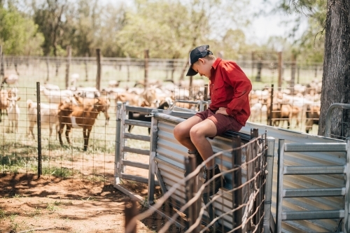 Teen Boy On Farm - Australian Stock Image