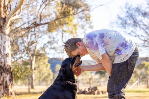 Teen boy showing affection to sitting rottweiler dog - Australian Stock Image