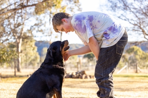 Teen boy showing affection to sitting rottweiler dog - Australian Stock Image