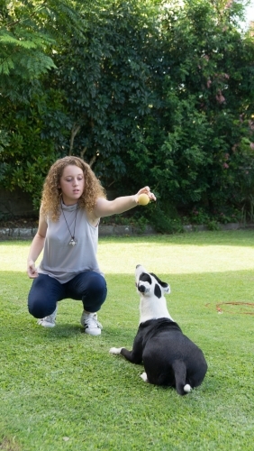 Teen girl playing ball with dog - Australian Stock Image