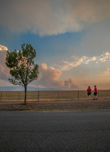 Teenage boy and girl near a tree watching the smoke of a bushfire in the distance - Australian Stock Image