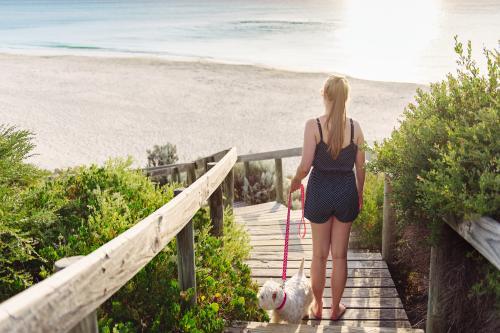 Teenage girl walking down boardwalk stairs to the beach with her dog at sunset