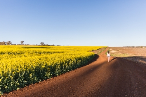 Teenage girl walking down dirt track on farm with canola field - Australian Stock Image