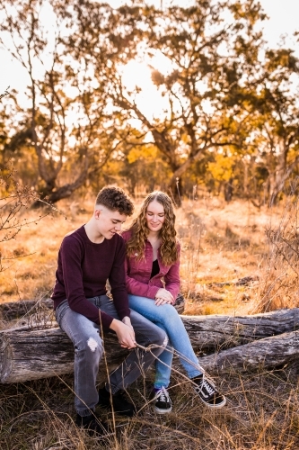 Teens in paddock sitting on log talking - Australian Stock Image