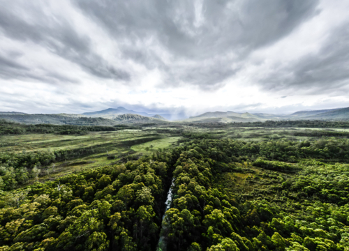The area around Esperance River Forest Reserve on a stormy summer's day in Southwest National Park - Australian Stock Image