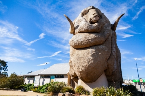 The Big Merino iconic australian tourist attraction in Goulburn - Australian Stock Image