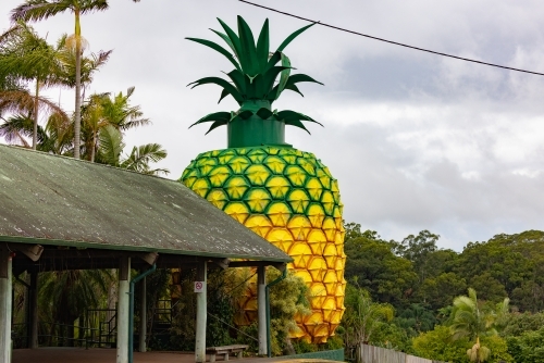 The Big Pineapple tourist attraction at Woombye QLD - Australian Stock Image