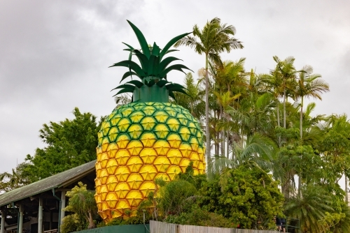The Big Pineapple tourist attraction at Woombye QLD - Australian Stock Image