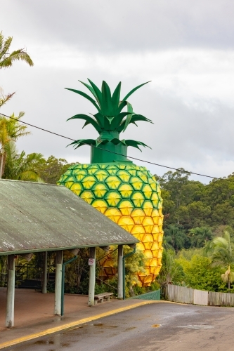 The Big Pineapple tourist attraction at Woombye QLD - Australian Stock Image