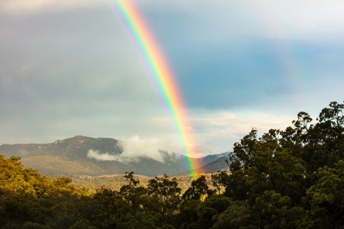 The colourful end part of a rainbow reaching down to the ground amongst eucalyptus forest - Australian Stock Image