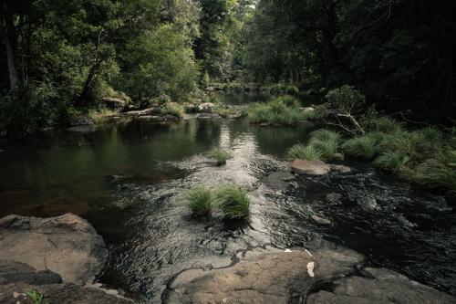 The creek in the hinterland