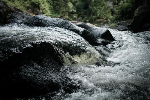 The creek with water detail at high shutter speed - Australian Stock Image