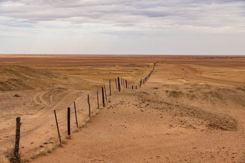 The Dog Fence Stretching Across the Arid Australian Outback - Australian Stock Image