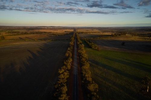 The early morning light shining on a road through a farm in rural Western Australia.