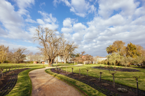 The famous Castlemaine Botanical Gardens on a warm spring afternoon - Australian Stock Image