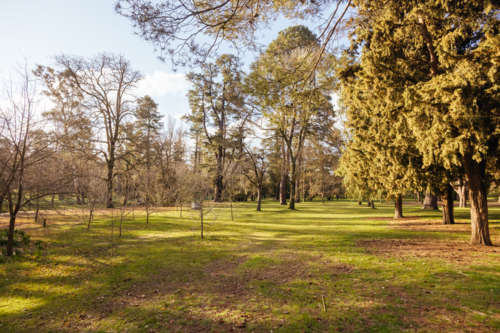The famous Castlemaine Botanical Gardens on a warm spring afternoon - Australian Stock Image