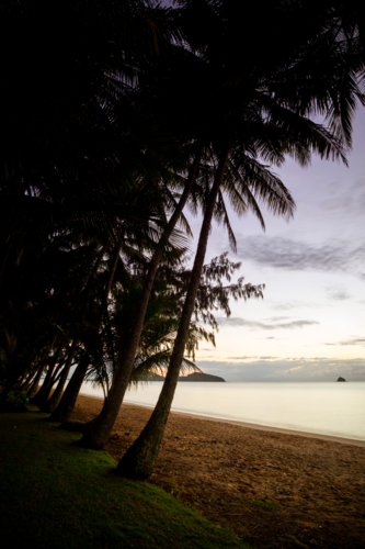 The famous idyllic beachfront of Palm Cove at sunrise in Queensland, Australia - Australian Stock Image
