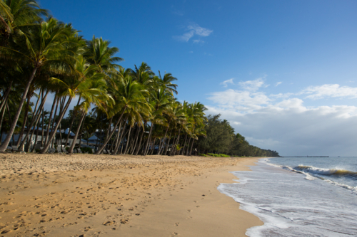 The famous idyllic beachfront of Palm Cove on a winter's day in Queensland, Australia - Australian Stock Image
