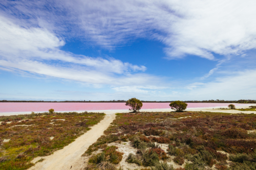 The famous Lake Lochiel, otherwise known as Pink Lake near Dimboola on a warm spring day - Australian Stock Image
