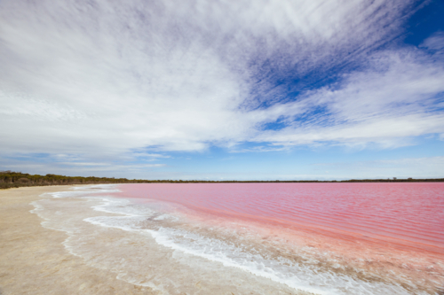 The famous Lake Lochiel, otherwise known as Pink Lake near Dimboola on a warm spring day - Australian Stock Image