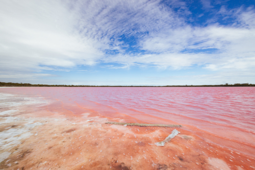 The famous Lake Lochiel, otherwise known as Pink Lake near Dimboola on a warm spring day - Australian Stock Image