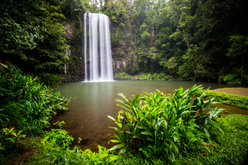 The famous Millaa Millaa waterfall in the Atherton Tablelands area of Queensland, Australia - Australian Stock Image