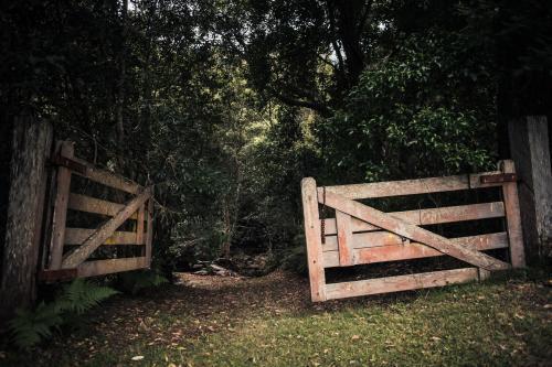 The fence leading into bush. - Australian Stock Image