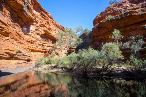 The Garden of Eden at Kings Canyon in the Northern Territory, Australia - Australian Stock Image