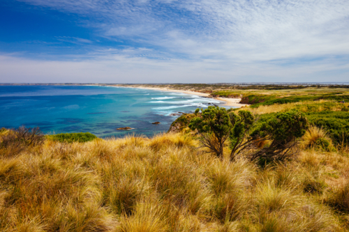The iconic Cape Woolamai Surf Beach and Cowrie Patch Beach from Pinnacles Lookout on Phillip Island, - Australian Stock Image