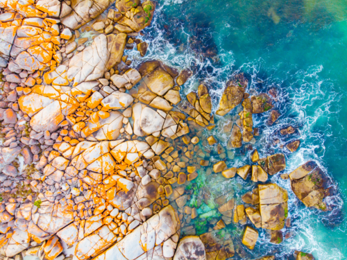 The iconic lichen covered rocks and turquois ocean water in the Bay of Fires. - Australian Stock Image