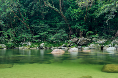 The Mossman River Runnings through Mossman Gorge Tropical Queensland - Australian Stock Image