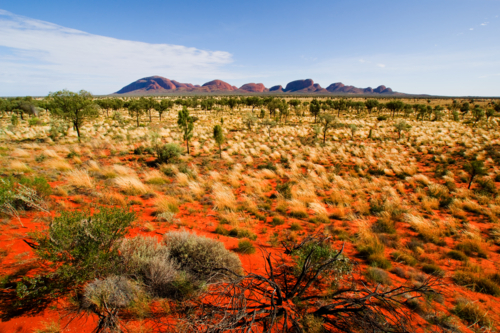 The Olgas and outback landscape on sunlit day - Australian Stock Image