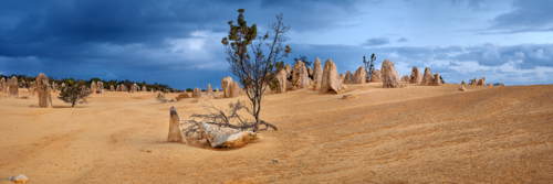 The Pinnacles Western Australia - Australian Stock Image