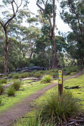 The start of a bushwalking trail - Australian Stock Image