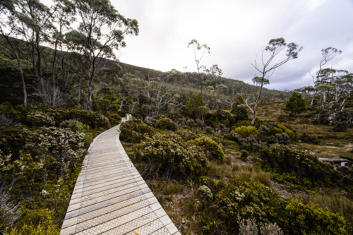 The stunning Lake Dobson on the Pandani Grove Nature Walk on a cold summer's afternoon in Tasmania, - Australian Stock Image