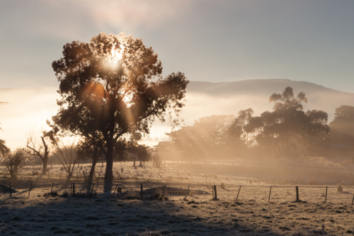 The sun rises on a cold winter's morning in the Yarra Valley, Victoria, Australia - Australian Stock Image