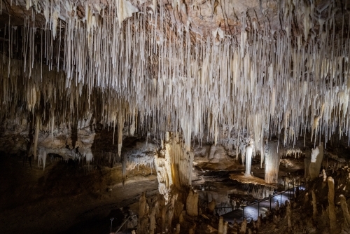 The Suspended Table and stalactites in Lake Cave, Western Australia