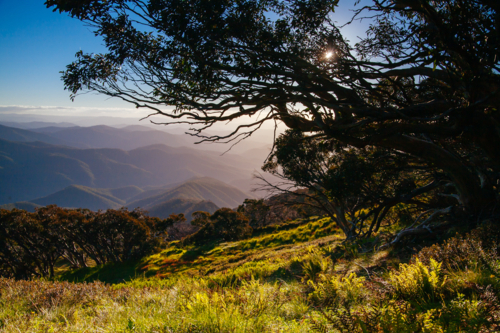 The view at sunset from the summit of Mt Buller over Little Buller Spur in Victorian High Country - Australian Stock Image