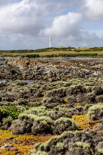 The white Currie Lighthouse rises above the colourful shoreline as clouds roll in - Australian Stock Image