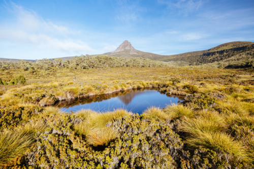 The wide landscape views early in the morning of Barn Bluff and alpine heath plants - Australian Stock Image