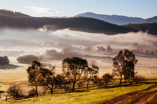 The winter sun rises on a cold misty and frosty morning in the Yarra Valley, Victoria, Australia - Australian Stock Image