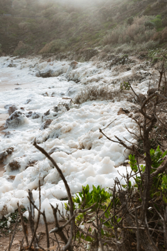 Thick Sea Foam washed onto beach from Karen Mikimotoi Algal Bloom - Australian Stock Image