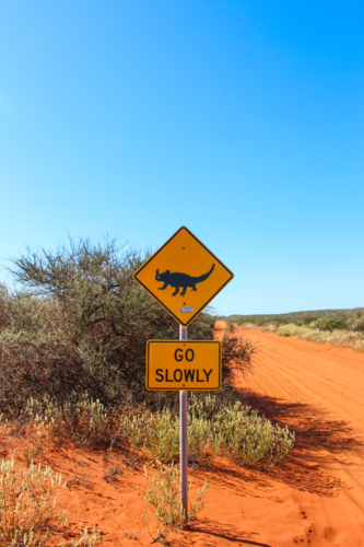 Thorny devil road sign on red dirt road - Australian Stock Image