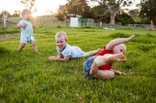 Three brothers roll and play on soft green grass of a family farm in the warm golden afternoon sun.